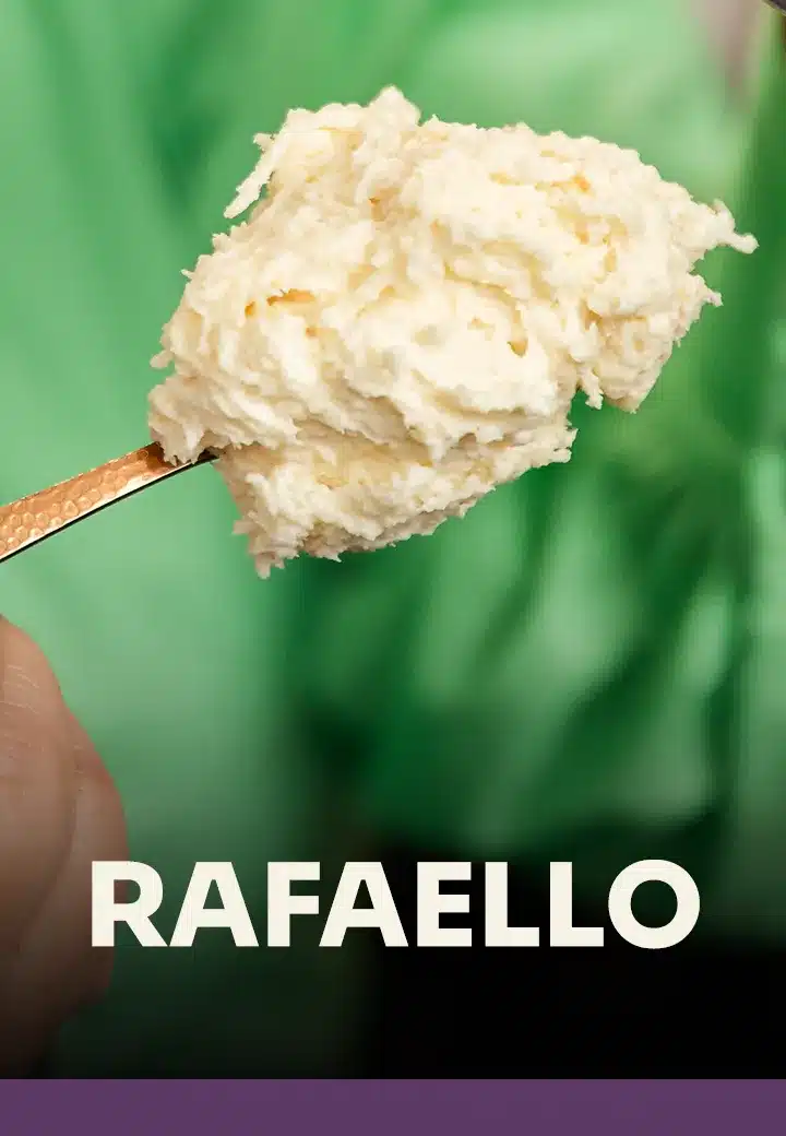rafaello_converted